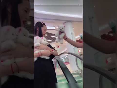 #All My Pets, One Big Hug#Caught with a Handful of Happiness#Fluffy Squad Goals