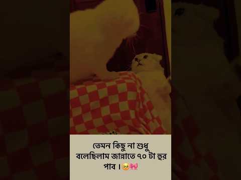 এইটা কোনো কথা 😩😆 #shorts #foryou #motivation #viral