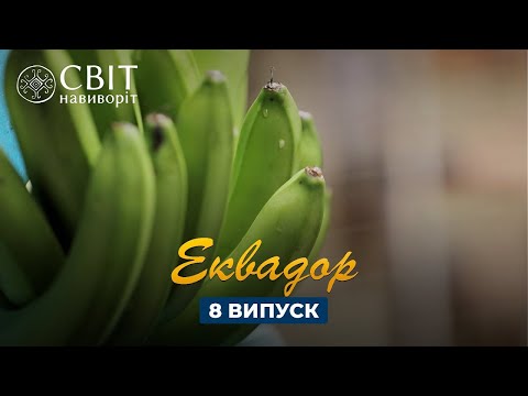 Как выращивают бананы для экспорта в Украину. Мир Наизнанку 13 сезон 8 серия. Эквадор