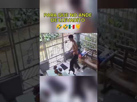 YA NO LE GUSTO EL JUEGUITO 🐕🤣🤣🇲🇽🤙#HumorMexicano#SoloEnMéxico #humorVideoViral
