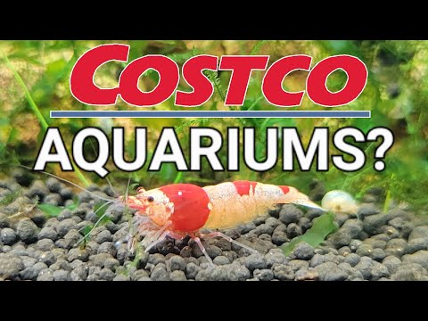 The Cheapest, Best and Easiest Aquarium From... Co #aquarium #nature #money 

On a budget? Want to maximize profits? Just want more aquariums?  Well $3