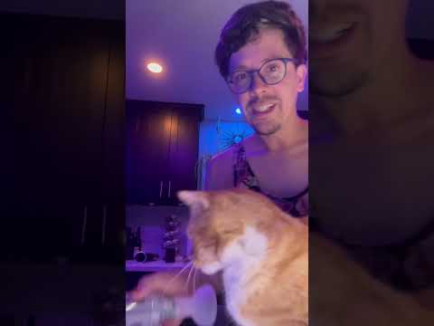 Thursday Inhaler Time! ๐ฑ๐จ Let's help Ella with a breath of air! #catcare #cathealth #catlover