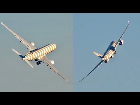 Pilot Performs Wild Wing Wave