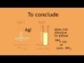 Solubility of Silver Halides in Ammonia