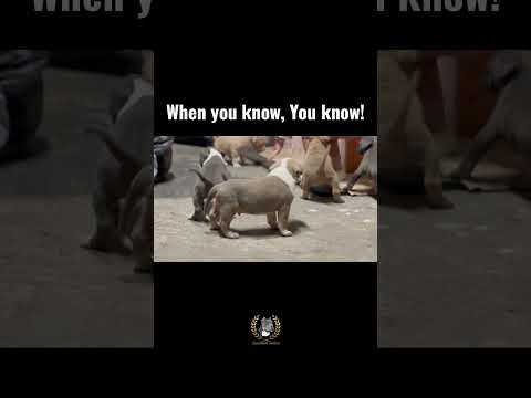 When they show it to you at 4 weeks! 🤩🤩🤩🤯🤯🤯