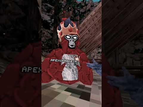 DunkyMonke ROCKET! #gorillatag #vr #metaquest3s