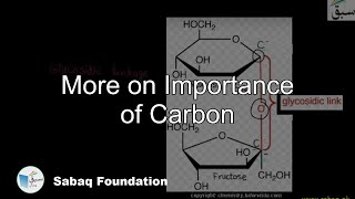 More on Importance of Carbon