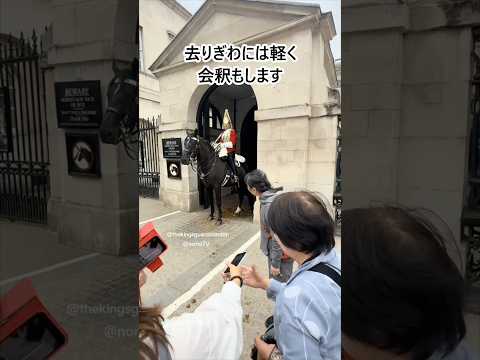 日本人観光客の礼儀正しい記念撮影#shorts #imperialguard #horse #respect #bow#近衞兵 #馬 #お辞儀