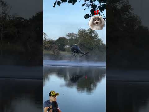 🚁 ¡Helicóptero cae al agua en plena maniobra