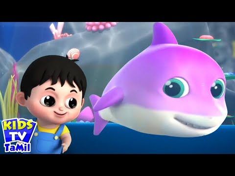 Baby Shark Sing and Dance, Incy Wincy Spider, குழந்தை சுறா + Tamil Rhymes and Kids Poem