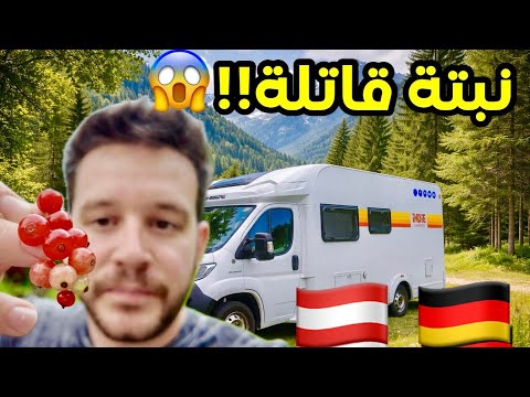 اكلنا نبتة سامة وردنا نتصل بالطواريء - حدود المانيا والنمسا مع بيتنا المتنقل كرفان اوروبا