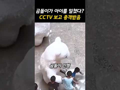아이를 밀쳐버린 곰돌이인형의 분노.. 누가 진짜 잘못일까?