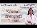 Geography: Our Changing Earth