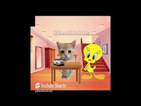 Cry Banana Cat Happy & Cry videos.