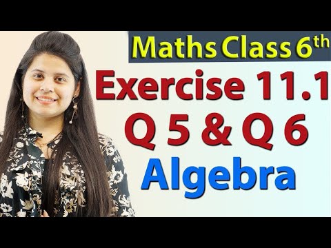 Q 5 & Q 6 - Ex 11.1 - Algebra - Chapter 11 - NCERT Maths Class 6th