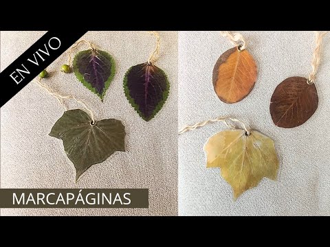 Marcapáginas  con hojas naturales