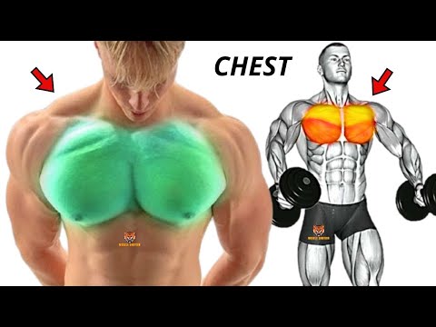 TOP 5 INNER, LOWER AND UPPER CHEST WORKOUT WITH DUMBBELLS BARBELL CABLE AND MACHINE  AT GYM