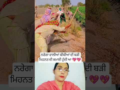 ਨਰੇਗਾ ਵਾਲੀਆਂ ਬੀਬੀਆਂ ਦੀ ਬੜੀ ਮਿਹਨਤ 💖 #trending #musictrends #shortsfeed#viralshot