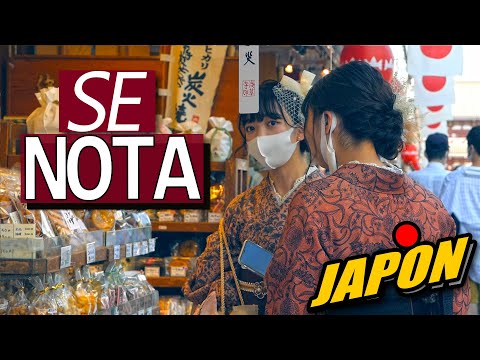JAPON SIN EXTRANJEROS AFECTO  | JAPANISTIC