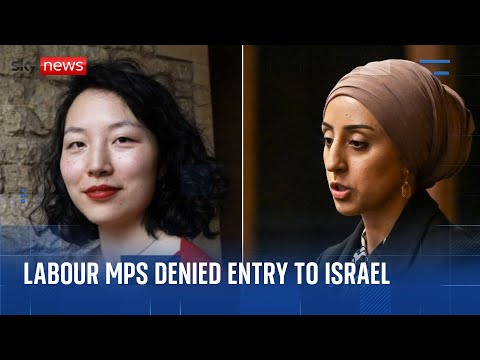 Two Labour MPs denied entry to Israel and deported over suspected 'anti-Israel hatred'