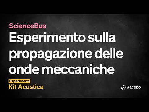 ScienceBus / Esperimento sulla propagazione delle onde meccaniche (spiegazione facile)