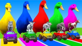 5 Giant Duck Cartoon, Cow, Mammoth, Elephant, Tiger, Paint Wild Animals Crossing Fountain Animation