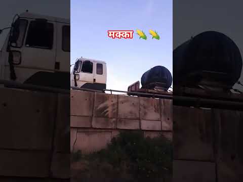 मक्का 🌽🌽