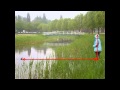 Human Disturbances and Urban Wildlife
