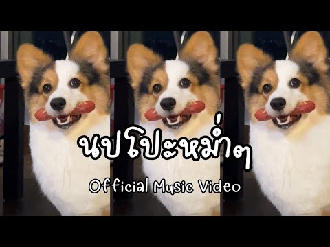นปโปะหม่ำๆ (Official Music Video)