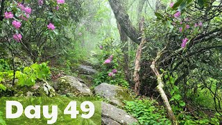 Day 49 AT | Hiking Through The Clouds