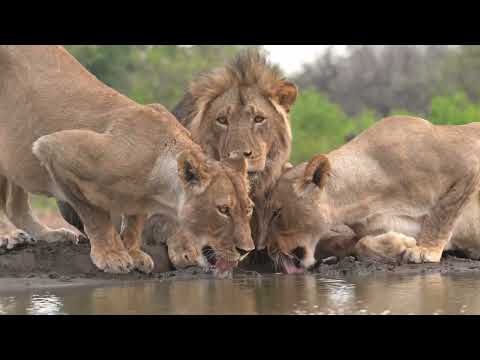 Destination Botswana