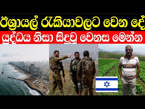 ඊශ්‍රායල් රැකියා වලට සිදුවන දේ මෙන්න | israel job, new situation