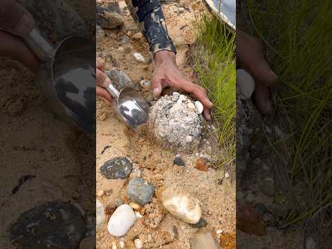 The process of finding gold | finding gold in bedrock fragments | finding gold nuggets worth $2500
