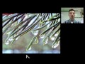 Water Properties and Their Implications