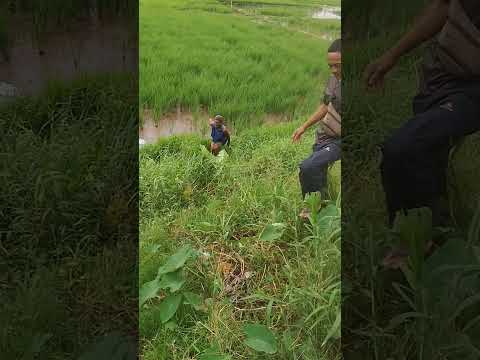 friends don't lie 🤣🤣 #funny #comedyshorts #comedy