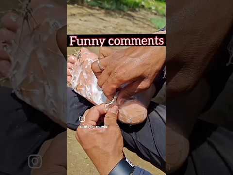Instagram Funny Comments 🤣| pt 121 #funny #shorts #comedy