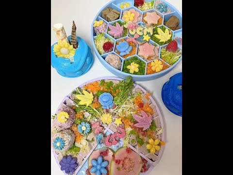 今天又是好多花花的一天#狗狗配餐 #自制狗饭 #干饭狗的日常 #每日喂食 #萌宠进食记