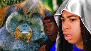 Orangutans Are Actually TERRIFYING