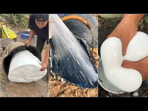 Harvesting Rubber Tapping | A Satisfying & Relaxing Process For Stress Relief