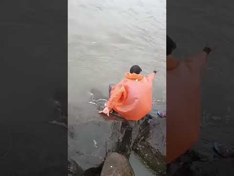 Big Monster🐋 ഇത് പോലെ ഒരു അയല മുഴവൻ കോർത്തു എറിഞ്ഞപ്പോൾ 😱||13.5Kg Hamour ||Grouper #shorts #handline