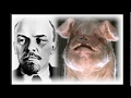 Exploring the Allegory of Animal Farm and the Russian Revolution