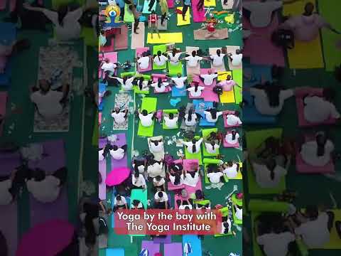 International Yoga Day 2022 | Yoga By The Bay Mumbai | #youtubeshorts #shorts #shortsvideo #yoga
