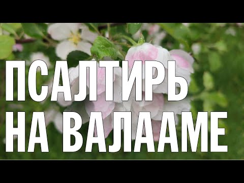 ПСАЛТИРЬ В ВАЛААМСКОМ МОНАСТЫРЕ (Эфир 05 июня 2024 года)