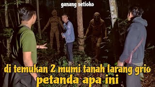 MUMI MESIR HADIR DIPULAU JAWA
