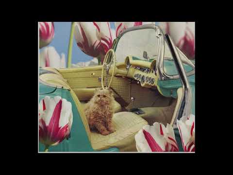 Shac Rivers - 04 -  Ipcress