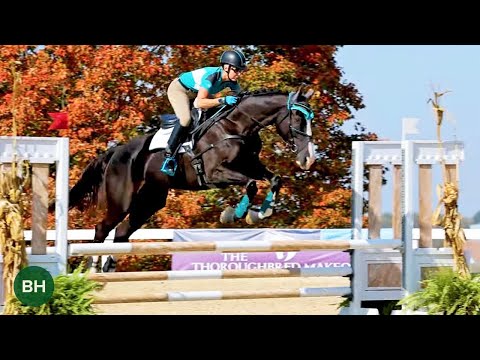 Kings of Sport: 2023 Thoroughbred Makeover