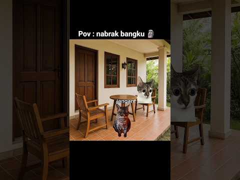 nabrak bangku🗿#kucingedit #cat #kucinganggoralucudanimut #kucing #imut #kucinglucu