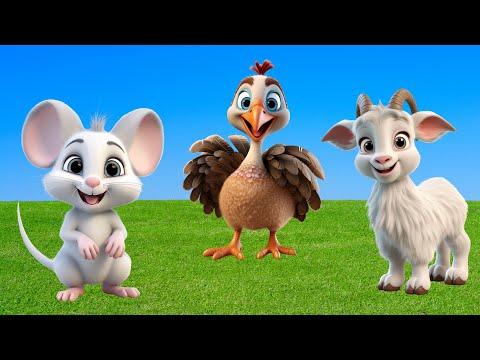 Cute Little Farm Animal Sounds: Mouse, Turkey. Goat, Sheep, Duck,...- Animal Paradise