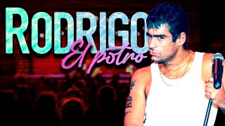 El Potro Rodrigo - El Potro 🎵 (Video con Letra Oficial)