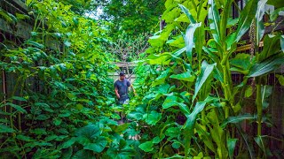 Growing 90% of Our Garden from Seeds